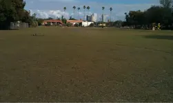 image-276618621.webp