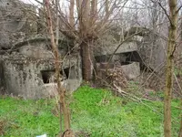 0104 007.webp