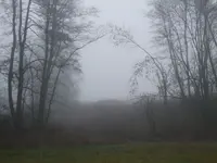0104 009.webp