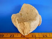 DSCN5558.webp