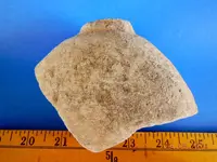 DSCN5560.webp