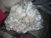 image.webp