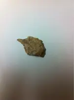 image-4187723883.webp