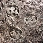 59-40 341 makers marks copy.webp