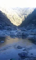 IMAG1221.webp