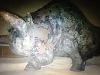 The Bull 1.webp