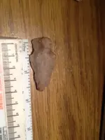 image-698139401.webp