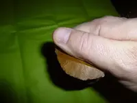 P1000881.webp