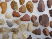 DSCN3443.webp