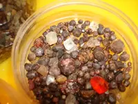 DSC00132.webp