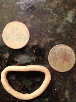 hallies finds.gif