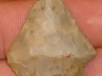 DSC00009.webp