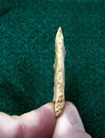 DSC01512.webp