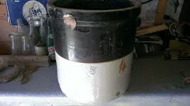 IMAG0146.webp