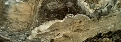 desert_gold.webp