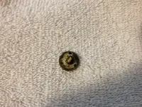 honor button reverse.webp