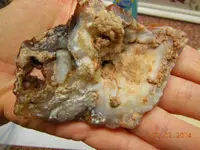 DSCN5443.webp