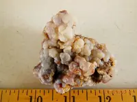 DSCN5465.webp