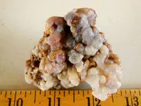 DSCN5466.webp