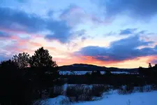 1-29a.webp