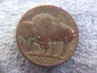 1-28 Bufflao back.webp