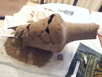 Dimeh pot #1.webp