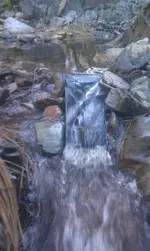 IMAG1259.webp