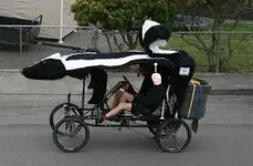 skunked_again2.webp