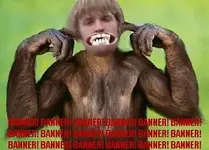 Banner_Konkey.webp