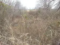 Slough One.webp