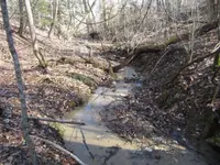 stream2.webp