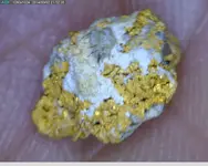 microgold2.webp