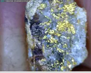 microgold4.webp microgold4.webp