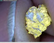 microgold5.webp microgold5.webp