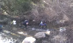 IMAG1324.webp