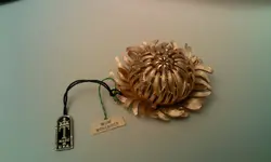 Mum 1.webp