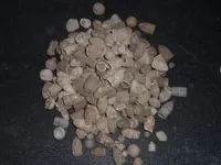 garage bullets 004.webp