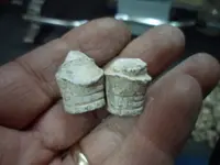 garage bullets 006.webp garage bullets 006.webp