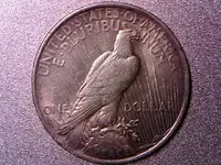 dollar_test_back.webp dollar_test_back.webp