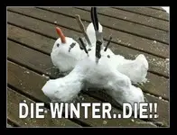 winter b gone.webp