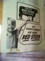 red steer pg 2.webp
