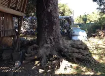 photo 1.webp