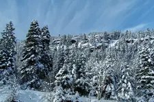 ouray today 2.webp