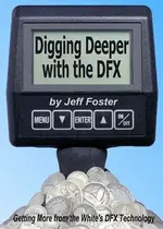 Foster DFX.webp