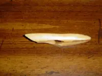 3ebay pics 013.webp