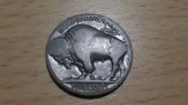 Buffalo Nickel.webp Buffalo Nickel.webp