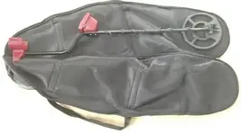detector in bag.webp