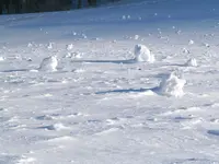 100_0310.webp 100_0310.webp