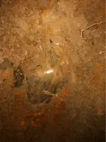 image-3701214320.webp