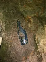 image-1083625803.webp image-1083625803.webp
